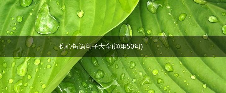 伤心短语句子大全(通用50句),第1张