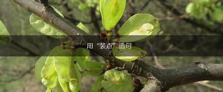 用“装点”造句,第1张