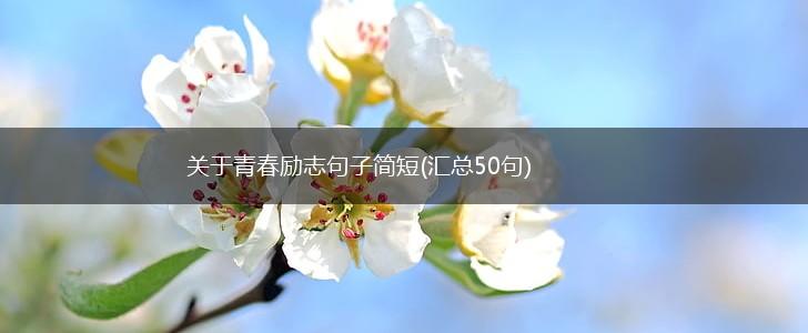 关于青春励志句子简短(汇总50句),第1张