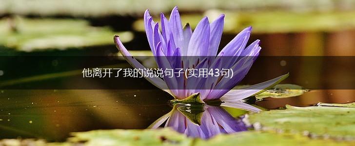 他离开了我的说说句子(实用43句),第1张