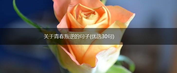 关于青春叛逆的句子(优选30句),第1张