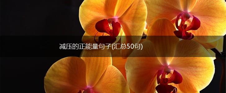 减压的正能量句子(汇总50句),第1张