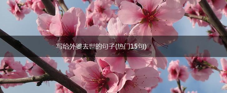 写给外婆去世的句子(热门15句),第1张