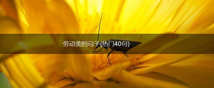 劳动美的句子(热门40句),第1张