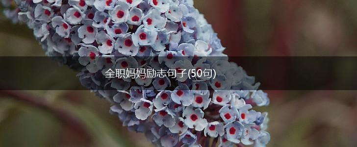 全职妈妈励志句子(50句),第1张
