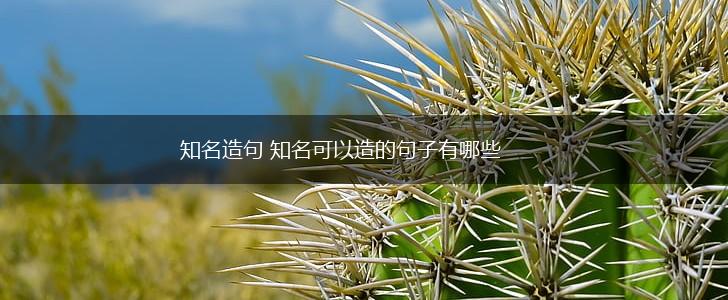 知名造句 知名可以造的句子有哪些,第1张