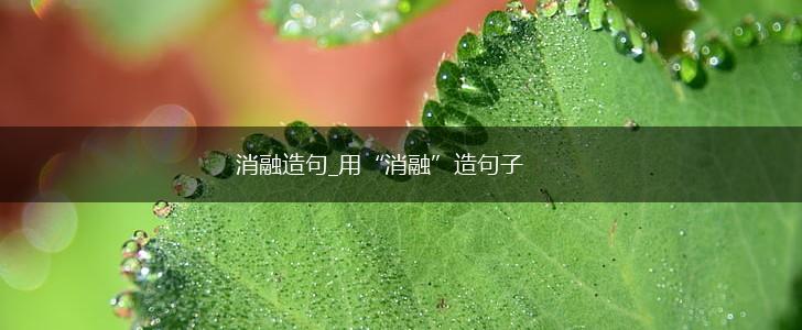 消融造句_用“消融”造句子,第1张
