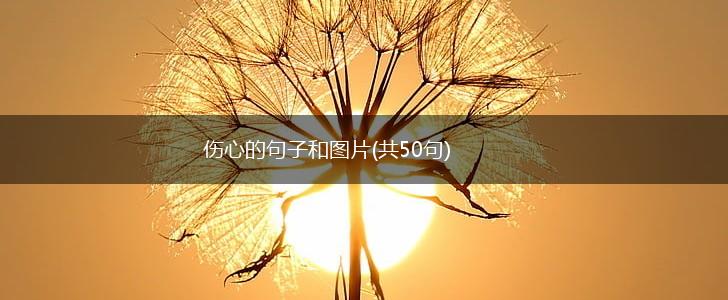 伤心的句子和图片(共50句),第1张