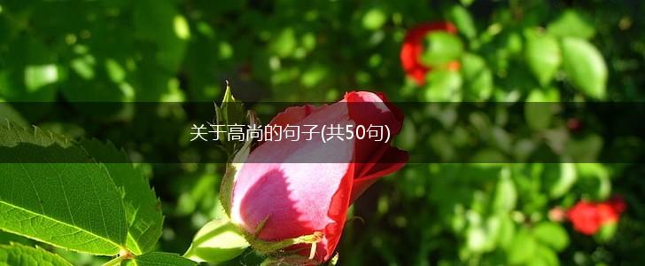 关于高尚的句子(共50句),第1张