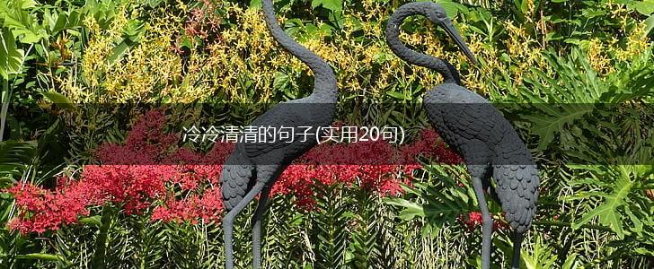 冷冷清清的句子(实用20句),第1张