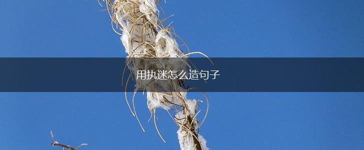用执迷怎么造句子,第1张