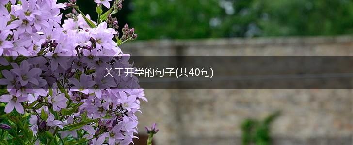 关于开学的句子(共40句),第1张