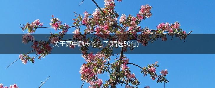 关于高中励志的句子(精选50句),第1张