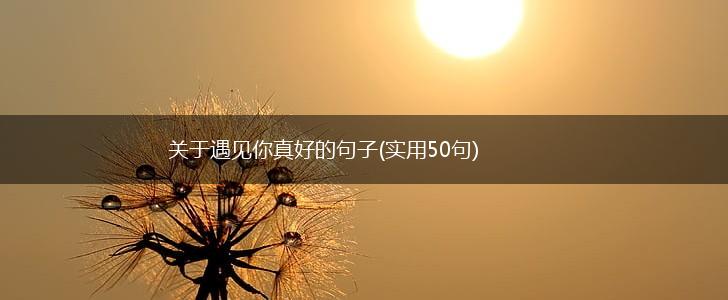 关于遇见你真好的句子(实用50句),第1张