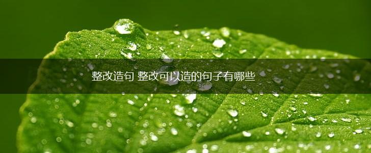 整改造句 整改可以造的句子有哪些,第1张