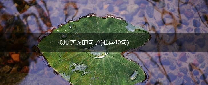 似贬实褒的句子(推荐40句),第1张