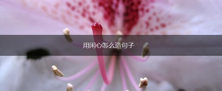 用闲心怎么造句子,第1张