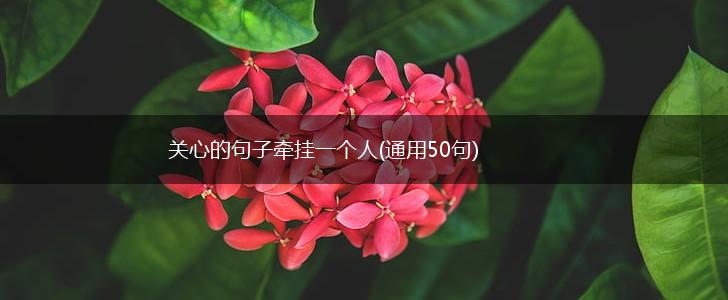 关心的句子牵挂一个人(通用50句),第1张