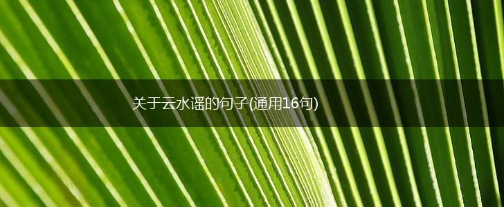 关于云水谣的句子(通用16句),第1张