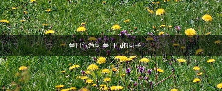 争口气造句 争口气的句子,第1张