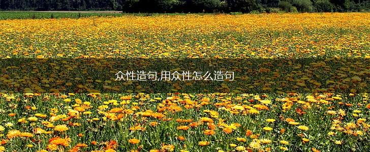 众性造句,用众性怎么造句,第1张