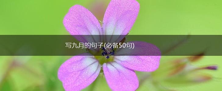 写九月的句子(必备50句),第1张