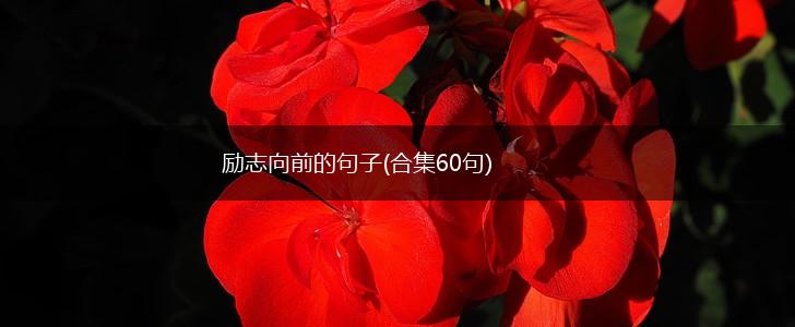 励志向前的句子(合集60句),第1张