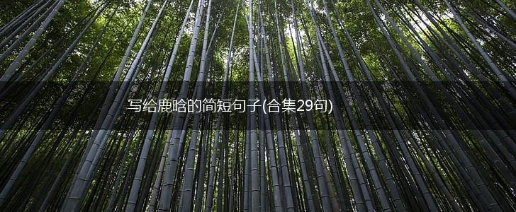 写给鹿晗的简短句子(合集29句),第1张