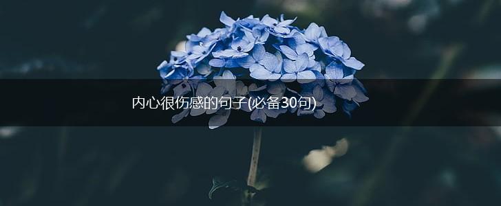 内心很伤感的句子(必备30句),第1张