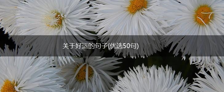 关于好运的句子(优选50句),第1张