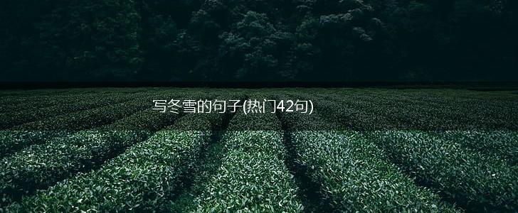 写冬雪的句子(热门42句),第1张