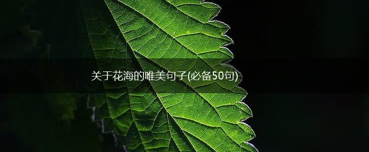 关于花海的唯美句子(必备50句),第1张