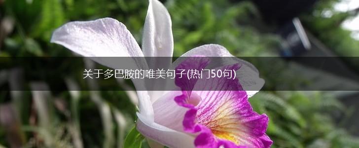 关于多巴胺的唯美句子(热门50句),第1张