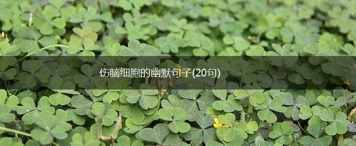 伤脑细胞的幽默句子(20句),第1张