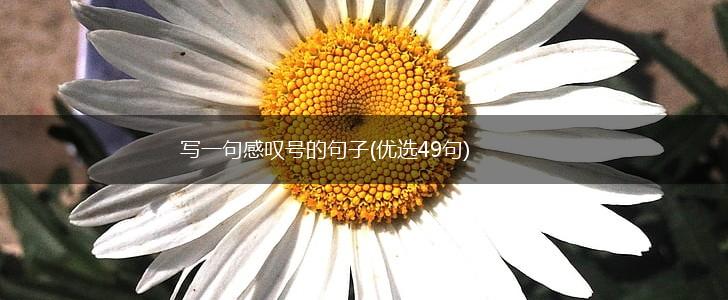 写一句感叹号的句子(优选49句),第1张