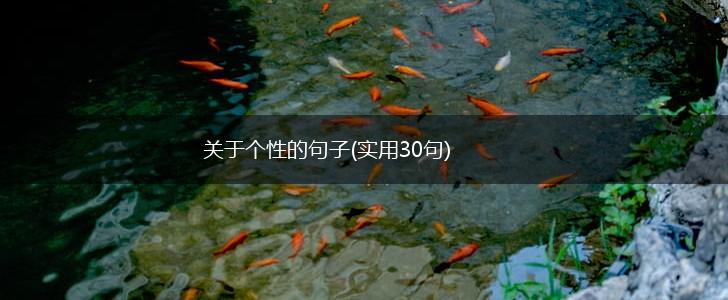 关于个性的句子(实用30句),第1张