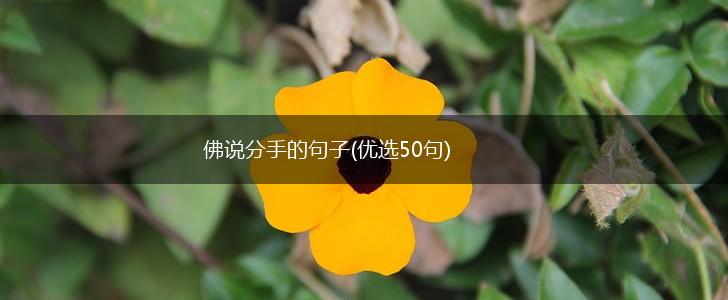 佛说分手的句子(优选50句),第1张