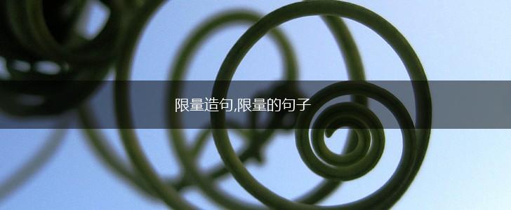 限量造句,限量的句子,第1张