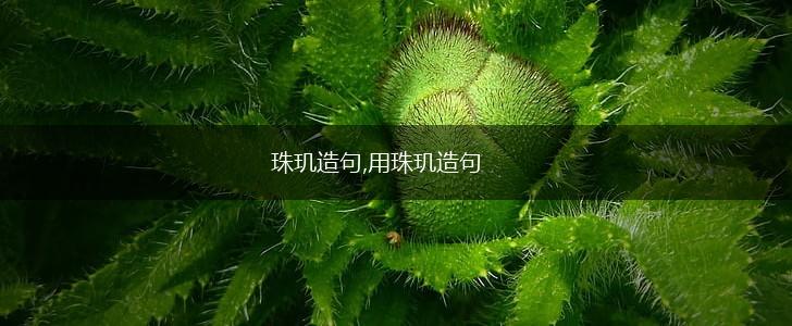 珠玑造句,用珠玑造句,第1张