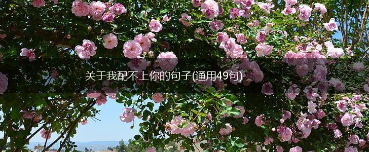 关于我配不上你的句子(通用49句),第1张