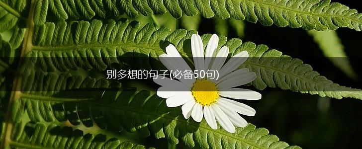 别多想的句子(必备50句),第1张