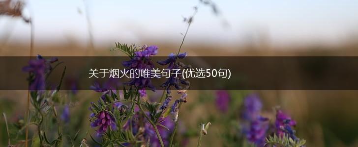 关于烟火的唯美句子(优选50句),第1张