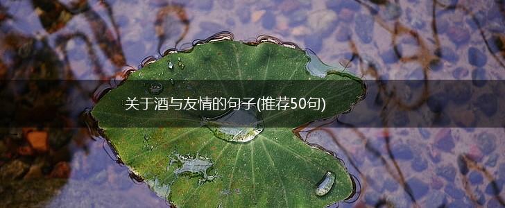 关于酒与友情的句子(推荐50句),第1张