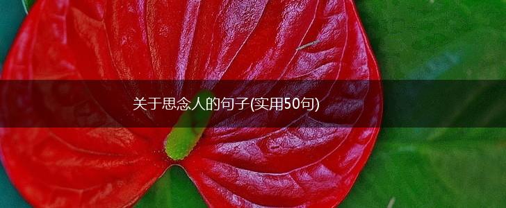 关于思念人的句子(实用50句),第1张