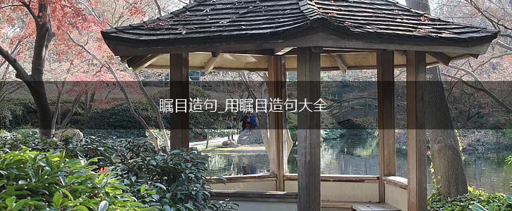 瞩目造句_用瞩目造句大全,第1张