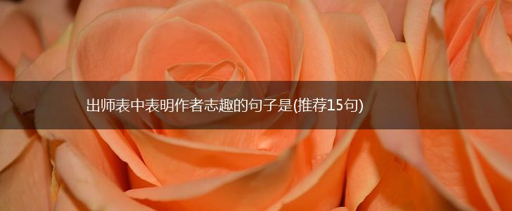 出师表中表明作者志趣的句子是(推荐15句),第1张