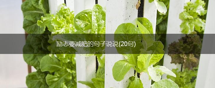 励志要减肥的句子说说(20句),第1张