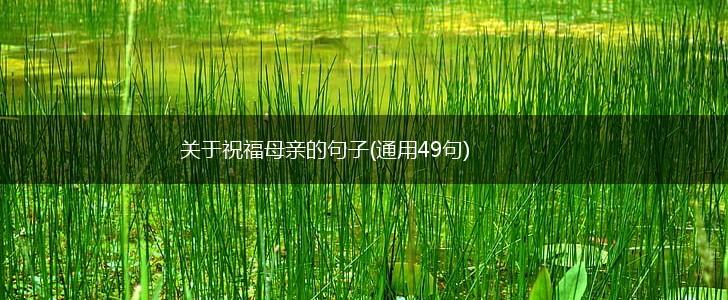 关于祝福母亲的句子(通用49句),第1张