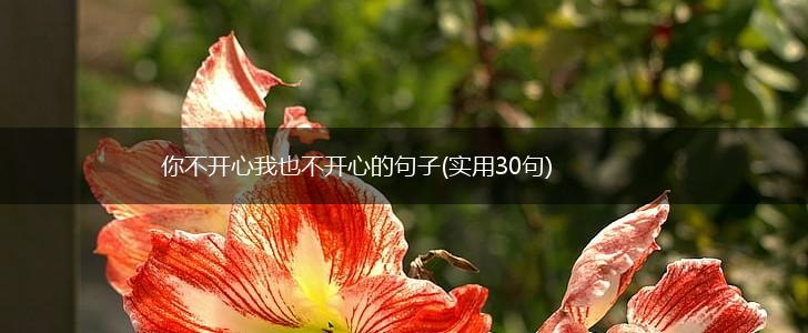 你不开心我也不开心的句子(实用30句),第1张