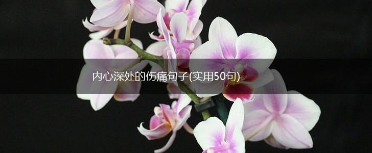 内心深处的伤痛句子(实用50句),第1张